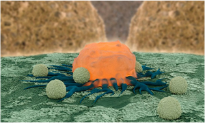 Những loại vũ khí mới trong cuộc chiến chống lại ung thư