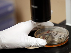 Công bố khoa học mới: Tiêm tế bào gốc để chữa rối loạn cương dương