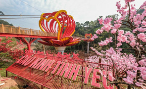 Video: Cận cảnh cầu kính 5D cao 22 m đầu tiên tại Việt Nam