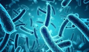 Video: Phương pháp mới phát hiện vi khuẩn trong vài phút