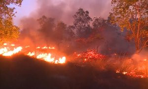 Video: Hơn 15 ha rừng phòng hộ ở Quảng Bình cháy suốt 10 tiếng