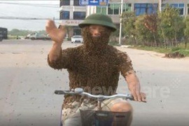 Clip: Kinh hãi nhìn người đàn ông dùng 50.000 con ong sống làm áo mặc
