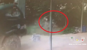 Clip: Người đàn ông thoát chết trong gang tấc khi bị chiếc xe tải đâm thẳng vào người