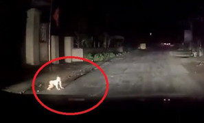 Clip: Chạy xe trong ngõ vắng, tài xế ô tô hú hồn khi phát hiện cháu bé bò lổm ngổm ngoài đường