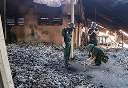 Khu vực nhà máy Rạng Đông sắp được tẩy độc