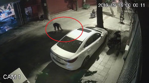 Clip: Kẻ bịt mặt liên tiếp ném mắm tôm trộn dầu luyn vào xe ô tô ở Hà Nội