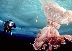 Lặn xuống lớp băng dày, khám phá hệ sinh thái ở Nam Cực