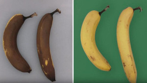 Video: Công nghệ bảo quản thực phẩm hàng chục ngày không cần làm lạnh