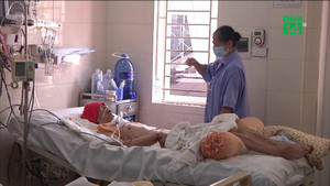 Nhiều người ở vùng núi phía Bắc mắc bệnh truyền nhiễm nguy hiểm Whitmore