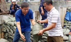 Video: Đắp bờ kè quận 8 TP.HCM trước khi thủy triều lên đỉnh