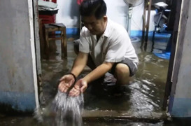 Video: Bến Tre ngập nặng lịch sử, nước tràn vào nhà cuốn trôi đồ đạc của dân sau mưa lớn