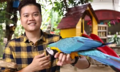 Video: Chàng trai sở hữu hơn 20 loài vẹt trị giá nửa tỷ đồng