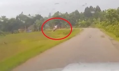 Clip: Tài xế chạy tốc độ cao vào cua gấp, ô tô lộn nhào lao xuống ruộng