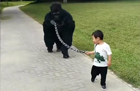 Video: Cha hóa trang thành khỉ đột để con dắt đi chơi