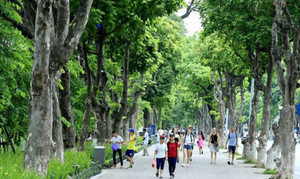 Chất lượng không khí tại Hà Nội tuần qua diễn biến ra sao?