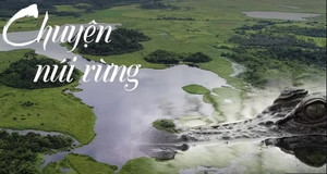 Video: Khám phá đầm lầy cá sấu xiêm trong rừng Nam Cát Tiên