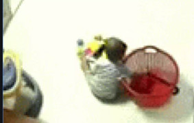 Hoảng hồn cảnh bé trai cầm con rắn đang ngoe nguẩy trong giỏ đồ chơi