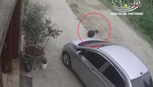 Clip: Bị cuốn vào gầm ô tô, bé trai thoát chết thần kỳ