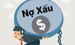 Video: Mua tài sản đấu giá từ nợ xấu, doanh nghiệp điêu đứng