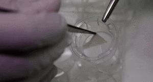 Công nghệ in 'da người' chỉ trong gần một phút