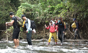 Video: Băng rừng lội suối khám phá 'tuyệt tình cốc' Bình Phước