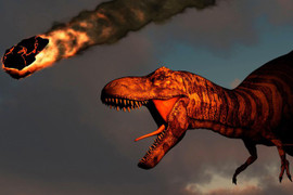 Video: Nguyên nhân khiến loài khủng long tuyệt chủng không phải ai cũng biết