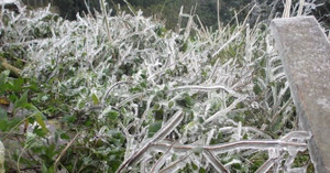 Video: Miền Bắc sắp xuất hiện băng giá và sương muối