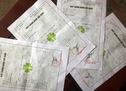 Video: Sở hữu giấy khám sức khỏe chỉ cần 25.000 đồng ở Nghệ An