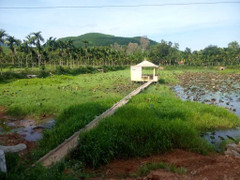 Người cựu chiến binh xây dựng trang trại tiền tỉ từ hai bàn tay trắng