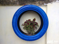 Sinh viên Hà thành biến bãi rác thành vườn hoa đẹp ngỡ ngàng