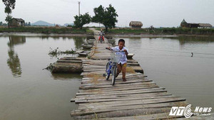 Dân 'đánh đu với tử thần' trên cây cầu gỗ 20 năm tuổi