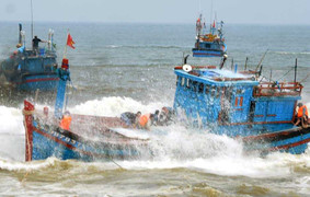 Một tàu cá đang mắc kẹt khe đá, ngư dân hoảng loạn kêu cứu