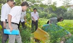 Hà Nội chủ động phòng chống dịch Zika