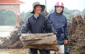 Ảnh: Dân bất chấp nguy hiểm vớt 'lộc trời' giữa lũ