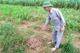 Ngã ngửa phát hiện những ngôi mộ từ 'trên trời rơi xuống'