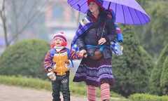 Tuần tới, miền Bắc rét đậm