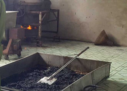 'Phù phép' đậu nành thành cà phê thượng hạng ở Hậu Giang