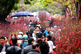 Bỏ Tết cổ truyền là đi ngược với thế giới