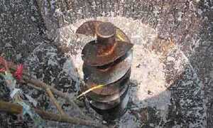 Điều tra vụ thi thể nữ công nhân trong máy nghiền bột giấy