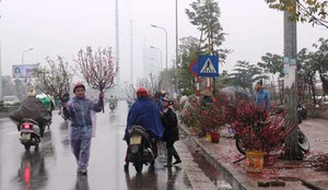 Không khí lạnh tràn về gây mưa rét ở Bắc Bộ và Trung Bộ
