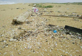 Bờ biển Quảng Nam tràn ngập rác thải dài 7km