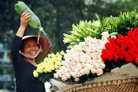 Thời tiết ngày Quốc tế Phụ nữ 2017: Miền Bắc mưa rét, miền Nam nắng ấm