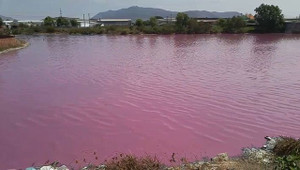 Hồ nước đổi màu hồng bất thường ở Bà Rịa - Vũng Tàu