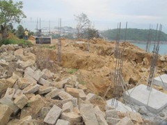 Chủ tịch Đà Nẵng báo cáo dự án bán đảo Sơn Trà