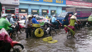 Hà Nội mưa giông như trút, cây đổ, đường ngập như sông, xe chết máy la liệt