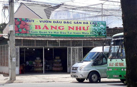 Trả lại chai nước cốt dâu, du khách bị chủ cửa hàng đánh ngất xỉu