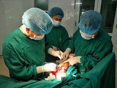 Tuyên Quang: Ổ ấu trùng hàng trăm con trong vết thương ở cánh tay người đàn ông