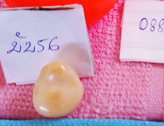 Tặng ốc giác, được trả lại viên ngọc quý giá gần nửa tỷ đồng