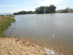 Cho con tập bơi, cả cha và con cùng chết đuối