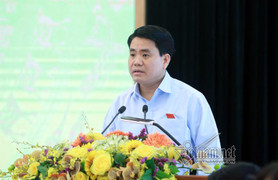 Chủ tịch Hà Nội: 'Di dời 1 cây xà cừ mất chục triệu, chưa biết trồng vào đâu'